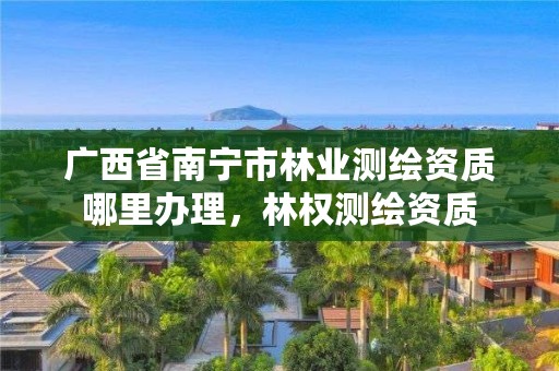 广西省南宁市林业测绘资质哪里办理，林权测绘资质