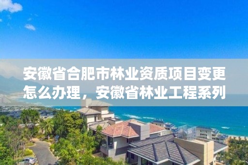 安徽省合肥市林业资质项目变更怎么办理，安徽省林业工程系列技术资格评审标准条件