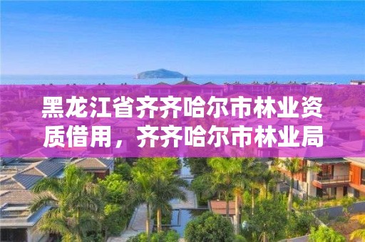 黑龙江省齐齐哈尔市林业资质借用，齐齐哈尔市林业局长