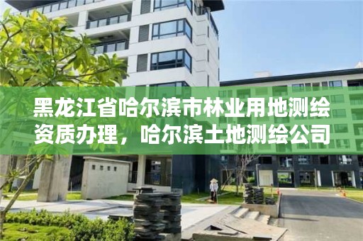 黑龙江省哈尔滨市林业用地测绘资质办理，哈尔滨土地测绘公司