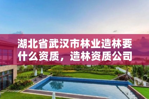 湖北省武汉市林业造林要什么资质，造林资质公司如何办理