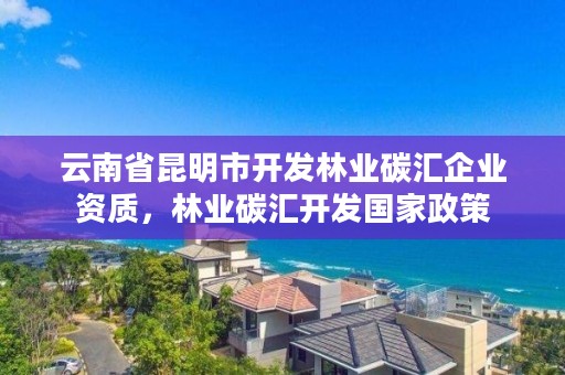 云南省昆明市开发林业碳汇企业资质，林业碳汇开发国家政策