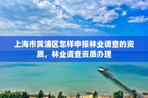 上海市黄浦区怎样申报林业调查的资质，林业调查资质办理