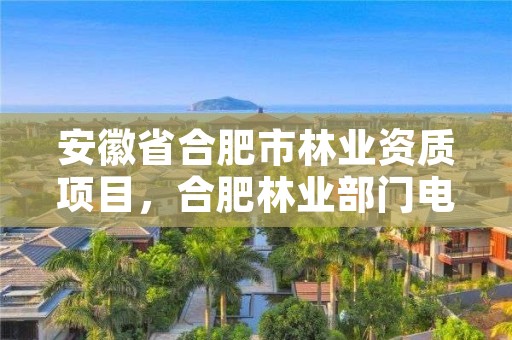 安徽省合肥市林业资质项目，合肥林业部门电话