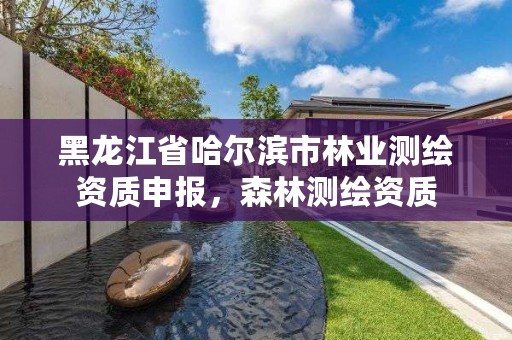 黑龙江省哈尔滨市林业测绘资质申报，森林测绘资质