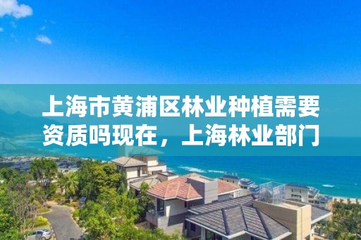 上海市黄浦区林业种植需要资质吗现在，上海林业部门