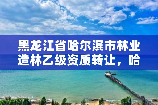 黑龙江省哈尔滨市林业造林乙级资质转让，哈尔滨市林业设计院