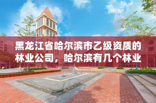 黑龙江省哈尔滨市乙级资质的林业公司，哈尔滨有几个林业局