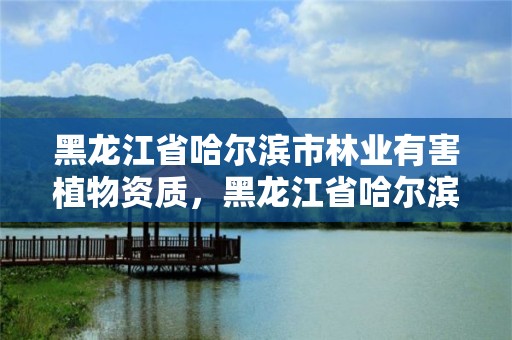 黑龙江省哈尔滨市林业有害植物资质，黑龙江省哈尔滨市森林植物园