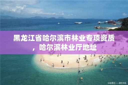 黑龙江省哈尔滨市林业专项资质，哈尔滨林业厅地址