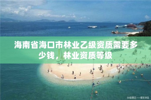 海南省海口市林业乙级资质需要多少钱，林业资质等级