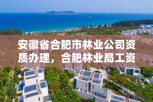 安徽省合肥市林业公司资质办理，合肥林业局工资待遇