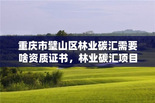 重庆市璧山区林业碳汇需要啥资质证书，林业碳汇项目是什么意思