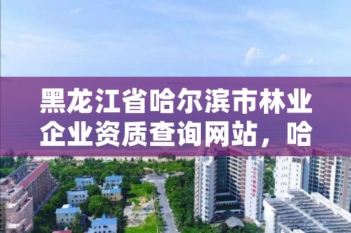 黑龙江省哈尔滨市林业企业资质查询网站，哈尔滨林业技术人员