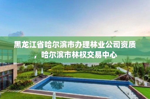 黑龙江省哈尔滨市办理林业公司资质，哈尔滨市林权交易中心