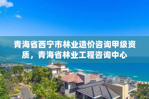 青海省西宁市林业造价咨询甲级资质，青海省林业工程咨询中心