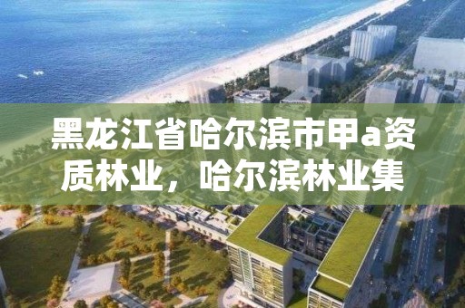 黑龙江省哈尔滨市甲a资质林业，哈尔滨林业集团