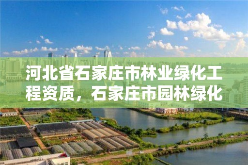 河北省石家庄市林业绿化工程资质，石家庄市园林绿化招标公告