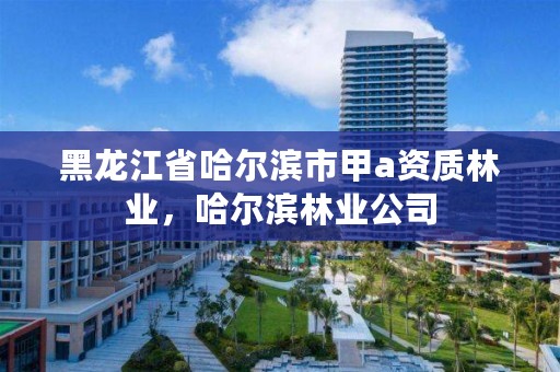 黑龙江省哈尔滨市甲a资质林业，哈尔滨林业公司