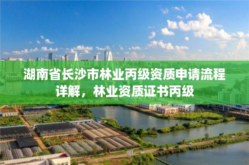 湖南省长沙市林业丙级资质申请流程详解，林业资质证书丙级