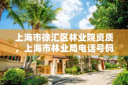 上海市徐汇区林业院资质，上海市林业局电话号码