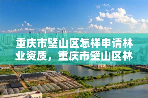 重庆市璧山区怎样申请林业资质，重庆市璧山区林业局