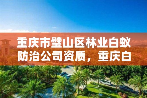 重庆市璧山区林业白蚁防治公司资质，重庆白蚁治理