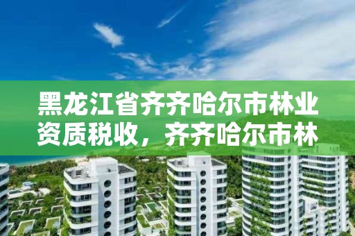 黑龙江省齐齐哈尔市林业资质税收，齐齐哈尔市林业局长