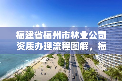 福建省福州市林业公司资质办理流程图解，福建省林业工程公司