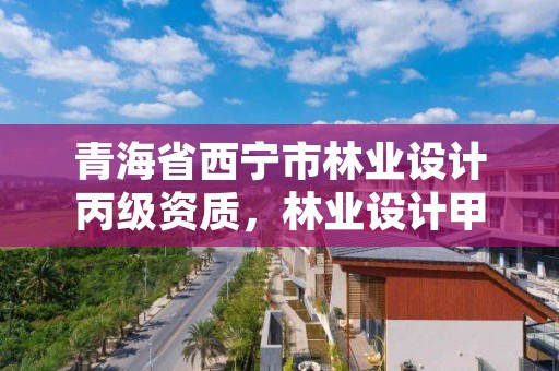 青海省西宁市林业设计丙级资质，林业设计甲级资质