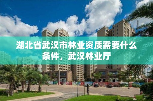 湖北省武汉市林业资质需要什么条件，武汉林业厅