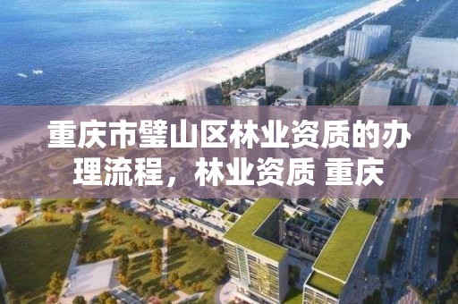 重庆市璧山区林业资质的办理流程，林业资质 重庆