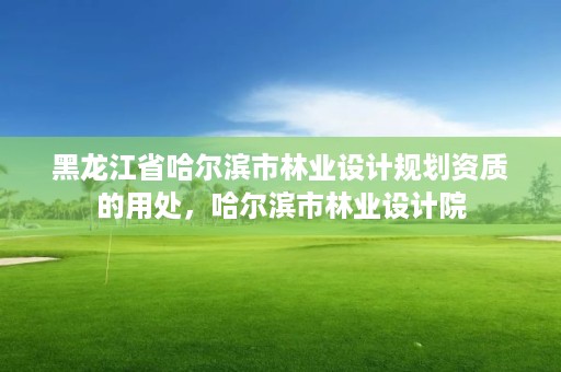 黑龙江省哈尔滨市林业设计规划资质的用处，哈尔滨市林业设计院