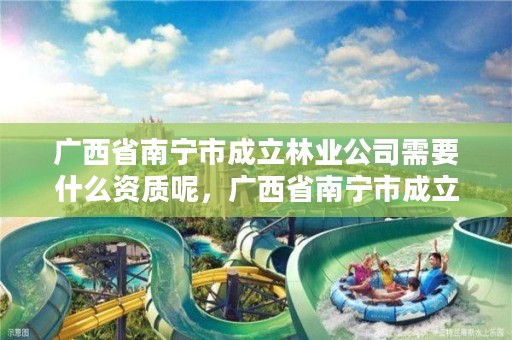 广西省南宁市成立林业公司需要什么资质呢，广西省南宁市成立林业公司需要什么资质呢