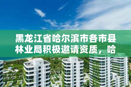 黑龙江省哈尔滨市各市县林业局积极邀请资质，哈尔滨附近的林业局