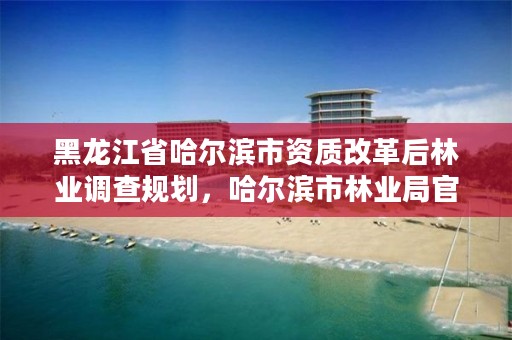 黑龙江省哈尔滨市资质改革后林业调查规划，哈尔滨市林业局官网