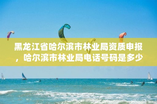 黑龙江省哈尔滨市林业局资质申报，哈尔滨市林业局电话号码是多少