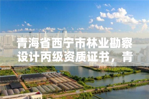 青海省西宁市林业勘察设计丙级资质证书，青海省林业勘察设计院