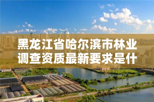 黑龙江省哈尔滨市林业调查资质最新要求是什么，哈尔滨林业厅官网