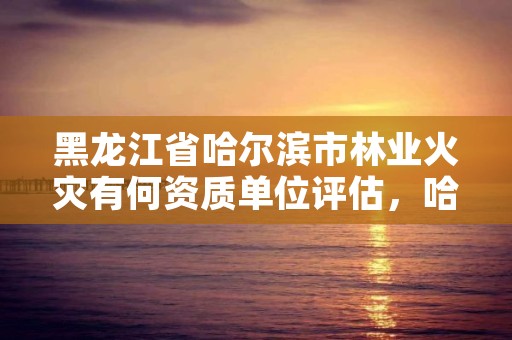 黑龙江省哈尔滨市林业火灾有何资质单位评估，哈尔滨火灾追责