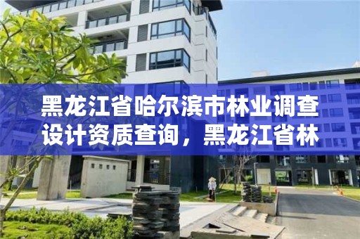 黑龙江省哈尔滨市林业调查设计资质查询，黑龙江省林业调查设计研究院院长