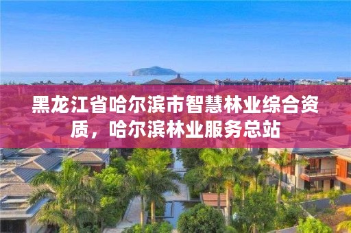 黑龙江省哈尔滨市智慧林业综合资质，哈尔滨林业服务总站