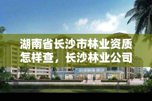 湖南省长沙市林业资质怎样查，长沙林业公司