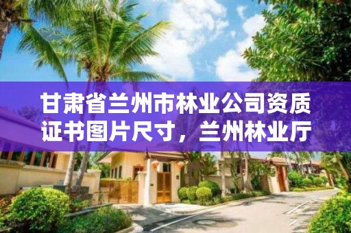 甘肃省兰州市林业公司资质证书图片尺寸，兰州林业厅