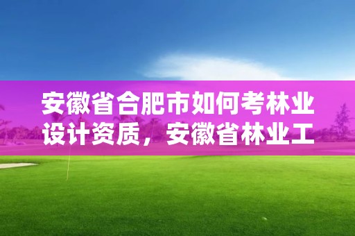 安徽省合肥市如何考林业设计资质，安徽省林业工程系列专业技术资格评审标准条件