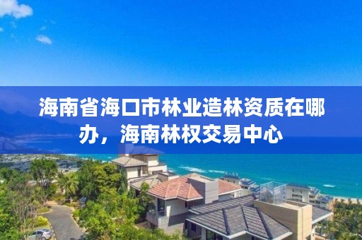 海南省海口市林业造林资质在哪办，海南林权交易中心