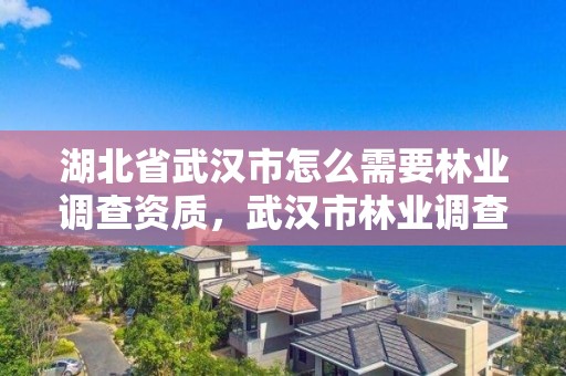 湖北省武汉市怎么需要林业调查资质，武汉市林业调查规划设计有限公司