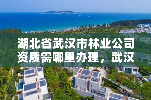 湖北省武汉市林业公司资质需哪里办理，武汉市林业集团有限公司