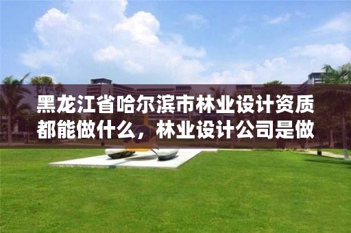 黑龙江省哈尔滨市林业设计资质都能做什么，林业设计公司是做什么的