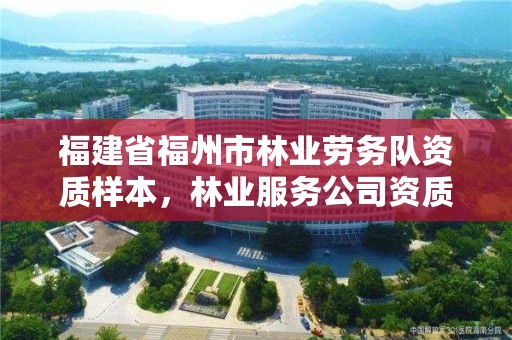 福建省福州市林业劳务队资质样本，林业服务公司资质